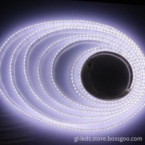 5050 SMD Flexible LED Strip with 12 or 24V DC Working Voltage and 60mA/LED Maximum Current